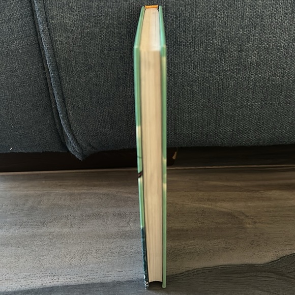 The unintentional adventures of the bland sisters by Kara LaReau - Picture 3 of 5